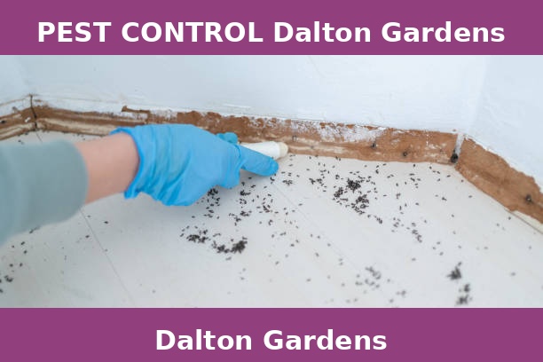 PEST CONTROL Dalton Gardens